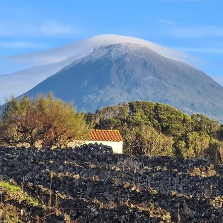 Azores Blue Bay Madalena  Exterior photo